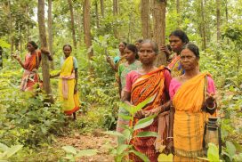 With Just Sickles And Sticks, Adivasi Women Save A Forest | Youth Ki Awaaz